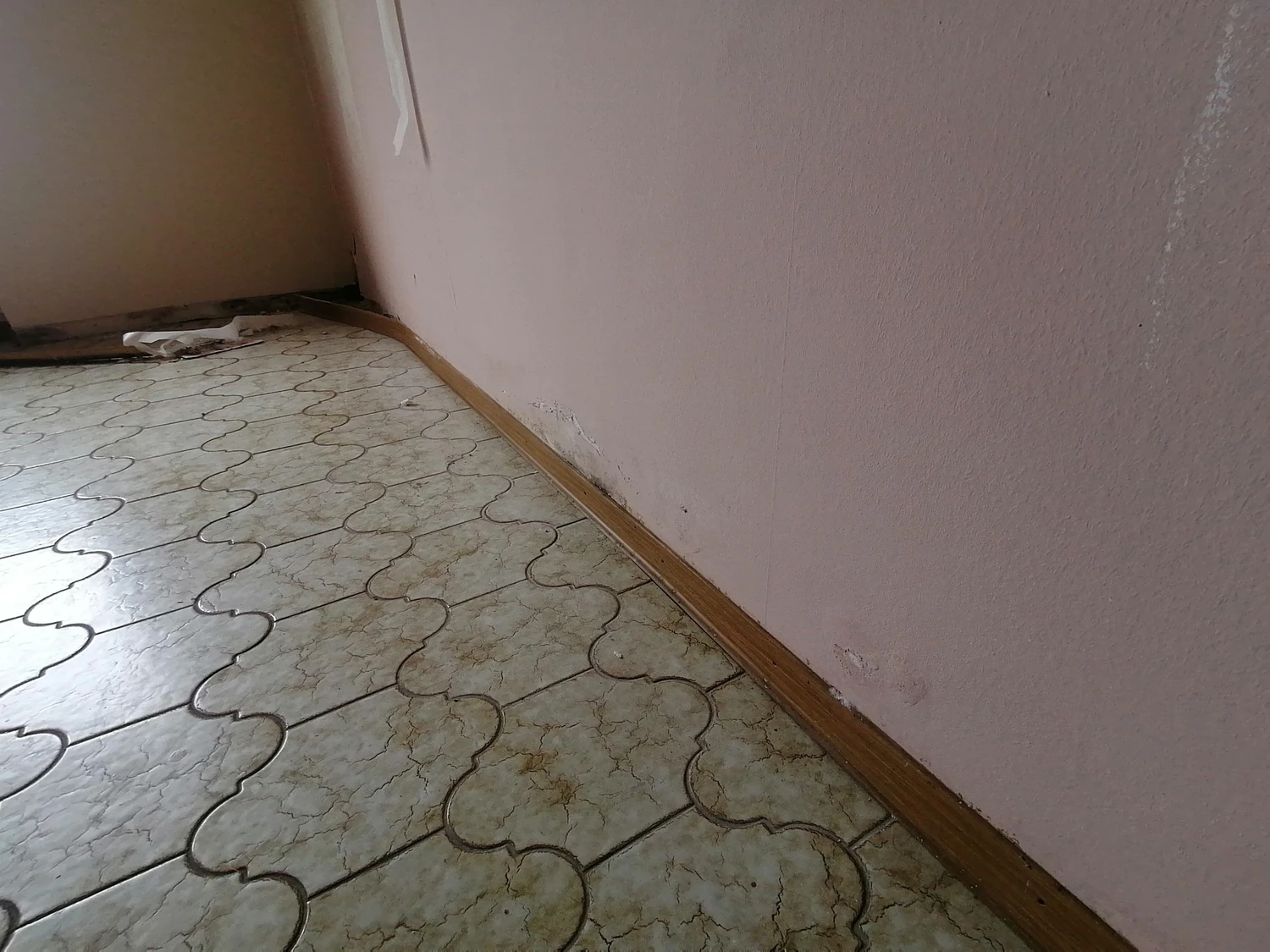 D.Förster - Sanierung - Sockelbereich mit ersten sichtbaren Feuchte-, Salz- und Schadstellen im unteren Wandbereich vor Beginn der Instandsetzung.