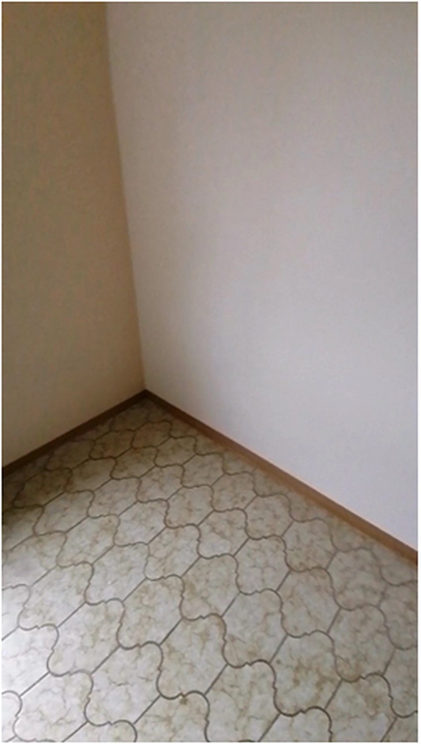 D.Förster - Renovierung - Abgeschlossener Wandbereich nach dem Sanierungsauftrag aus der ersten Perspektive.