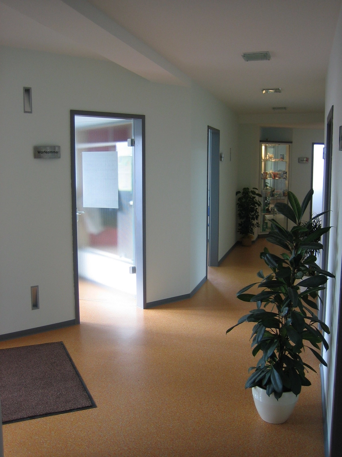 D.Förster - Renovierung - Wohnraumsanierung